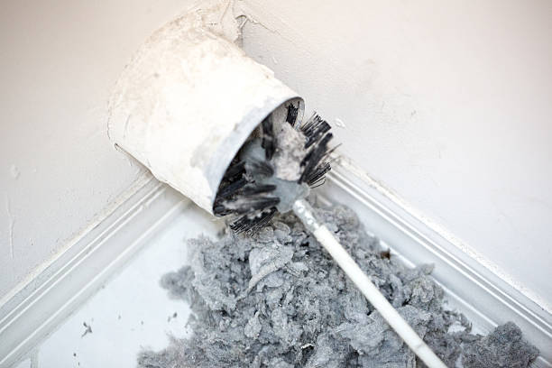 Best Residential Air Duct Cleaning  in Cresaptown, MD