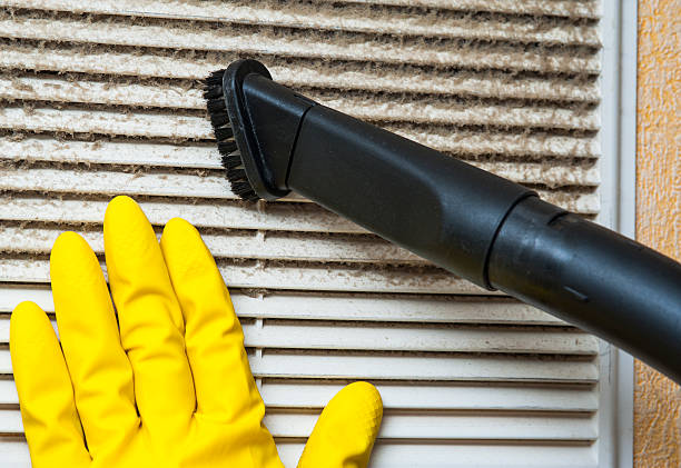 Best Affordable Air Duct Cleaning  in Cresaptown, MD